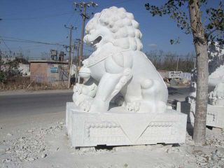 門(mén)前擺放石獅子的講究和寓意